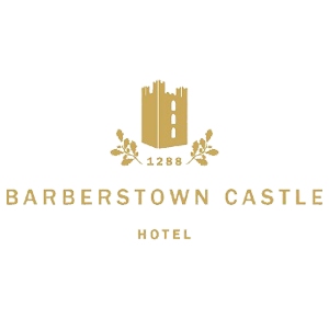 Barberstown_Castle
